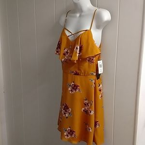 Trixxi dress